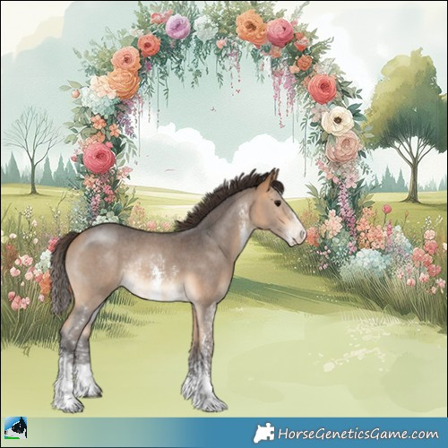 Horse Color:Buckskin Sabino Rabicano 