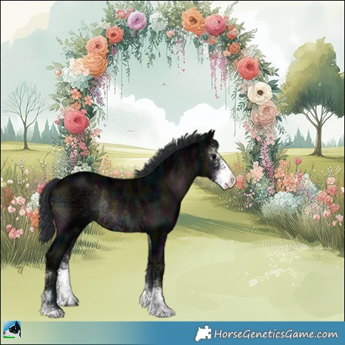 Horse Color:Midnight Brown Ice Onyx Sabino Rabicano 