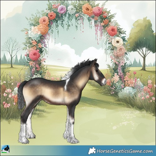 Horse Color:Brown Onyx Tobiano 