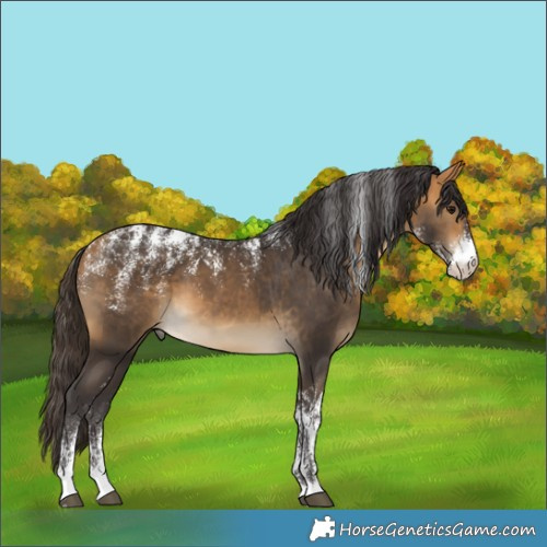 Horse Color:Powder White Buckskin 