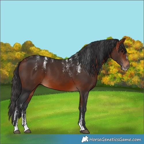 Horse Color:Powder White Bay 