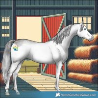 Horse Color:Gray Grullo Splash 