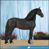 Horse Color:Brown 
