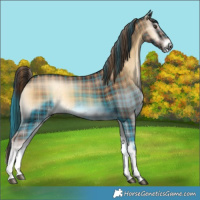Horse Color:Plaid Liver Red Onyx Tobiano Rabicano