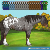 Horse Color:Liver Red Roan Blanket 