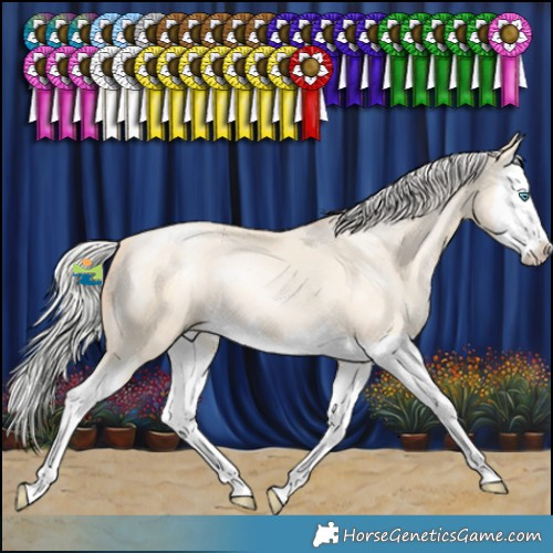 Horse Color:White Spotted Silver Classic Cream Champagne Pearl Splash 