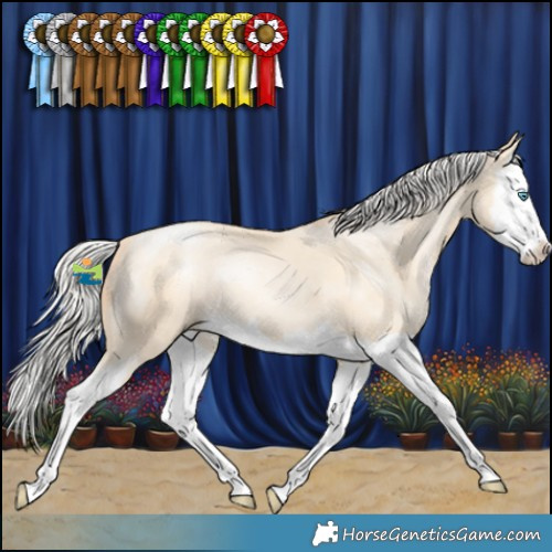 Horse Color:White Spotted Silver Classic Cream Champagne Pearl Splash 