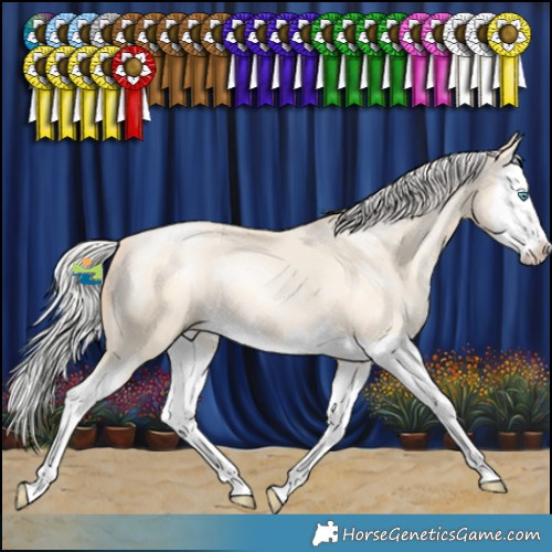Horse Color:White Spotted Silver Classic Cream Champagne Pearl Splash 