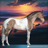 Horse Color:Brown Dun Tobiano Appaloosa Rabicano 