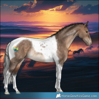 Horse Color:Brown Dun Tobiano Varnish Rabicano 