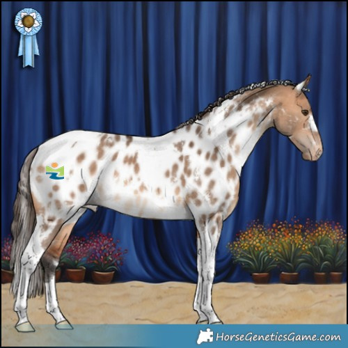 Horse Color:White Spotted Bay Dun Tobiano Appaloosa Rabicano 