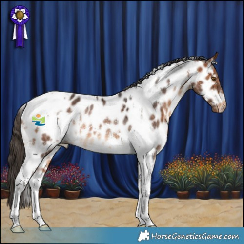 Horse Color:White Spotted Bay Tobiano Appaloosa Rabicano 