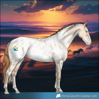 Horse Color:White Spotted Buckskin Pearl Dun Appaloosa Rabicano 