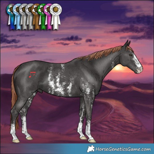 Horse Color:Liver Chestnut Sabino 