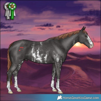 Horse Color:Liver Chestnut Sabino 
