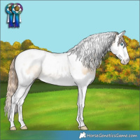 Horse Color:Buckskin Pearl Dun Sabino Splash Tobiano Rabicano 