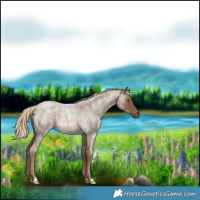 Horse Color:Chocolate Palomino Roan 