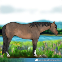 Horse Color:Brown Dun