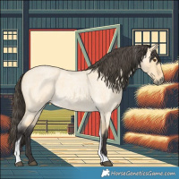 Horse Color:Buckskin Roan Dun Tobiano 