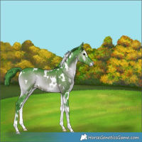 Horse Color:Watercolor White Spotted Brown Onyx