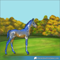 Horse Color:Watercolor White Spotted Brown 