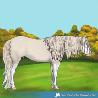 Horse Color:Smoky Creme Splash and Smoky Creme Splash