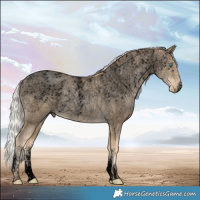 Horse Color:Powder White Void Silver Buckskin Roan Pearl