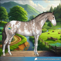Horse Color:Liver Red Dun Sabino Appaloosa Brindle