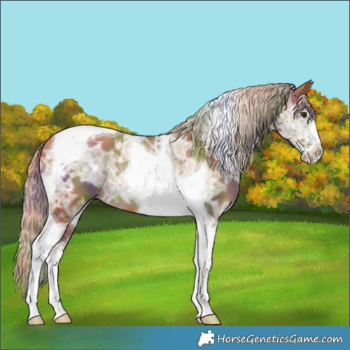 Horse Color:Nacre Chocolate Palomino Ice Dun Tobiano 