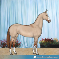 Horse Color:Red Dun 