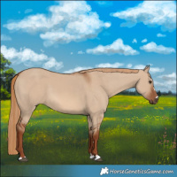 Horse Color:Red Dun 