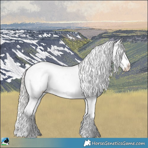 Horse Color:Chocolate Silver Brown Onyx Sabino Rabicano 