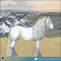 Horse Color:Chocolate Silver Brown Onyx Sabino Rabicano 