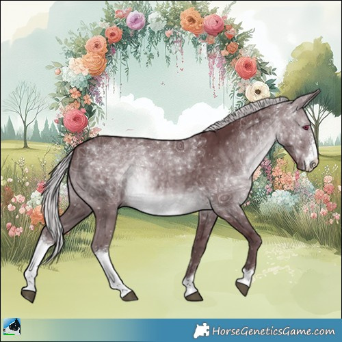 Horse Color:Chocolate Silver Brown Chinchilla Sabino 