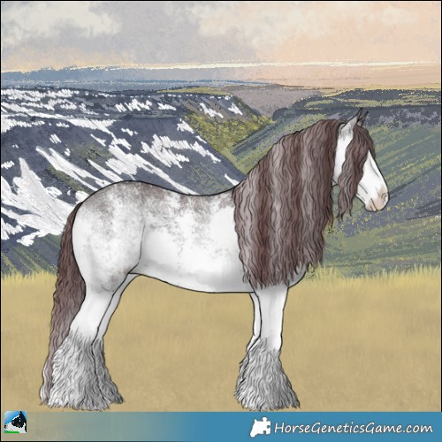 Horse Color:Chocolate Blue Onyx Chinchilla Ice Sabino Splash Rabicano 