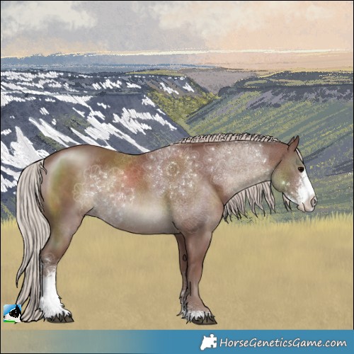 Horse Color:Chocolate Silver Black Sabino Rabicano 