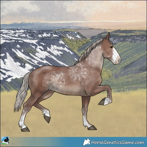 Horse Color:Chocolate Silver Black Sabino Rabicano 