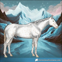 Horse Color:White Spotted Gold Champagne