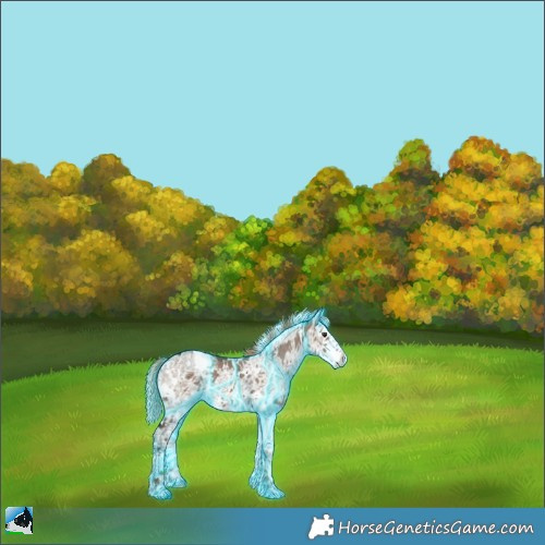 Horse Color:Thunderstruck White Spotted Liver Red Dun Ice Splash