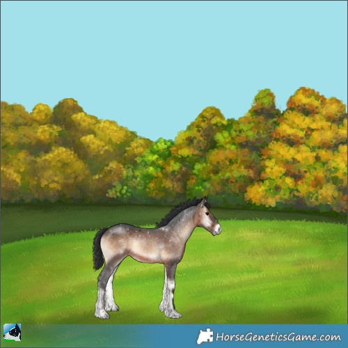 Horse Color:Brown Onyx 