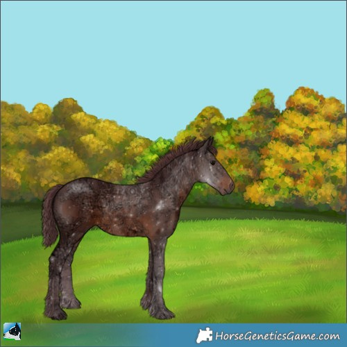 Horse Color:Chocolate Brown Ice 