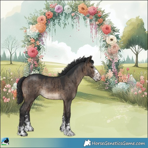 Horse Color:Brown Dun Sabino Rabicano Brindle 