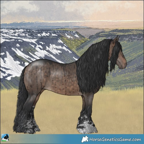 Horse Color:Brown Dun Mushroom Sabino Rabicano Brindle