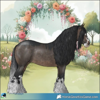 Horse Color:Brown Dun Splash Rabicano 