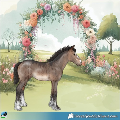 Horse Color:Bay Dun Mushroom Sabino Rabicano Brindle 