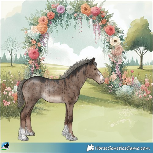 Horse Color:Liver Red Dun Mushroom Sabino Rabicano Brindle 