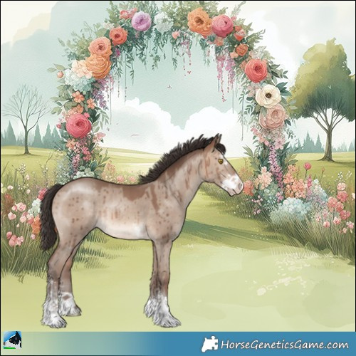 Horse Color:Sable Champagne Dun Sabino Brindle 