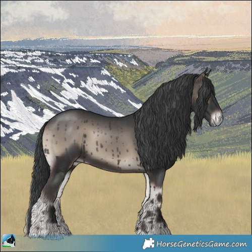 Horse Color:Blue Onyx Mushroom Rabicano 