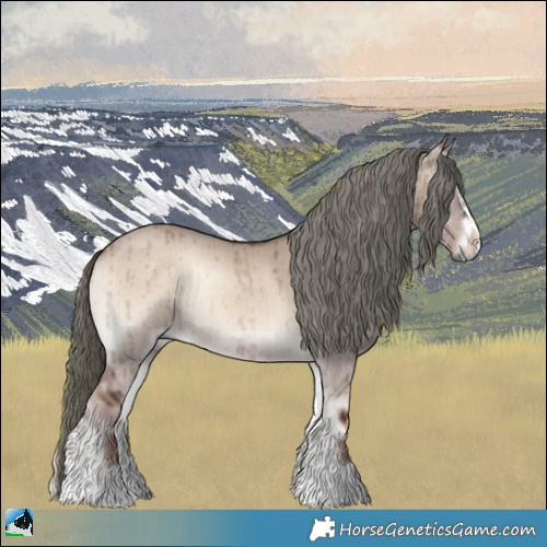 Horse Color:Liver Red Dun Onyx Mushroom Rabicano Brindle