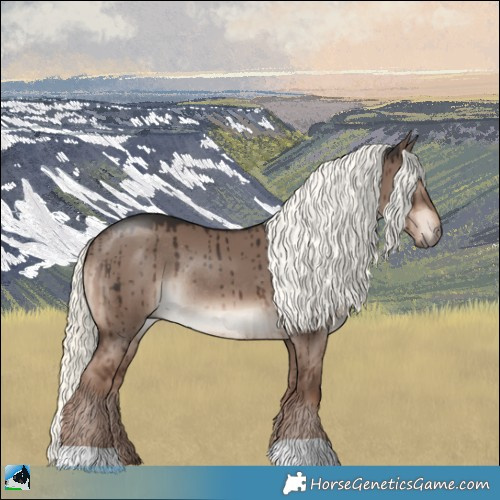 Horse Color:Liver Red Dun Mushroom Rabicano Brindle 